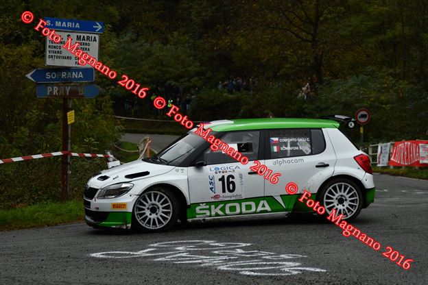 DSC_1650.JPG